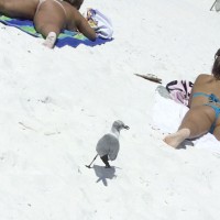 Pic #7 Destin, Fl