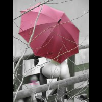 Pic #7 Naked With Your Umbrella