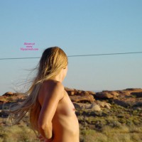 Pic #3 Pet Rea