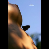 Topless With Butterfly On Body - Nipples