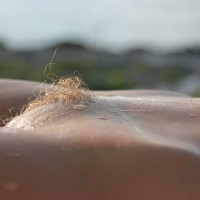 Blond Pussy Hair - Blonde Hair, Landing Strip, Red Hair