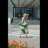Windblown Skirt - Flashing, Sexy Ass