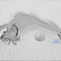 Pic #3 The Voyeurweb Eye Logo