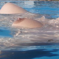 Boobs Afloating - Big Tits, Huge Tits