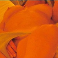 Bed - Brunette, , Hard Nipples, Lingerie, Medium Tits, Pussy, Round Tits