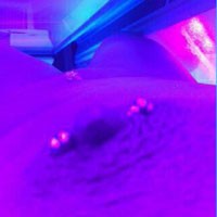 Tanning Bed Delight - Close-Ups, Pussy, Shaved