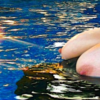 My extremely large tits - KTX