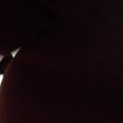 Pussy Fart - Close-Ups, Penetration Or Hardcore, Pussy Fucking