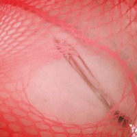 My ass - Kitty SassyShy