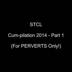 STCL - Cum-pilation 2014 - 1 of 2 - Big Tits, Blowjob, Facials, , Penetration Or Hardcore, Pussy Fucking, Wife/Wives