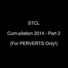 STCL - Cum-pilation 2014 - 2 of 2 - Big Tits, Blowjob, Brunette, Girl On Girl, , Penetration Or Hardcore, Wife/Wives