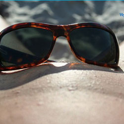 Oh How Good on Beach - Close-Ups
