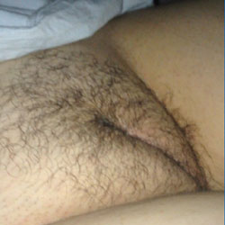 The Same Pussy in Several Versions - Close-Ups, Pussy, Bush Or Hairy