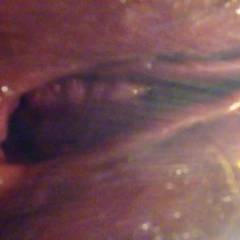Play - Close-Ups, Pussy