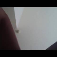 Having Fun On Vacation - Close-Ups, Penetration Or Hardcore, Pussy Fucking