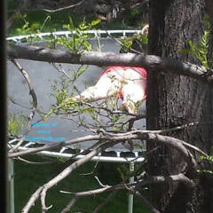Pic #1 Lunch Time