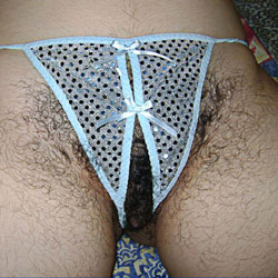 Pic #4 My Hairy Friend - Bush Or Hairy