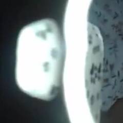 Playing With Herself - Close-Ups, Masturbation, Shaved, Toys