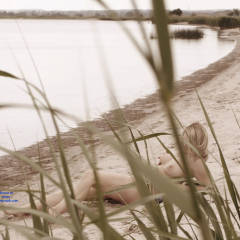 Pic #4 SeaSand - Beach, Blonde