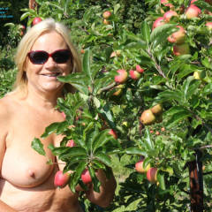 Pic #1 Down On The Farm - Big Tits, Blonde