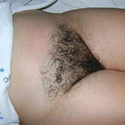 Pic #3 My Hairy Wife - Wife/wives, Bush Or Hairy