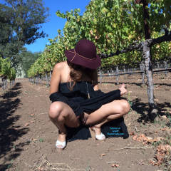 Pic #4 In The Vineyard!! - Gf