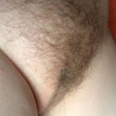 Pic #4 Exhibition - Bush Or Hairy