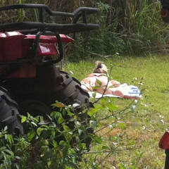 Pic #1 Sunning - Outdoors