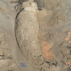 Pic #3 Narbonne - Beach