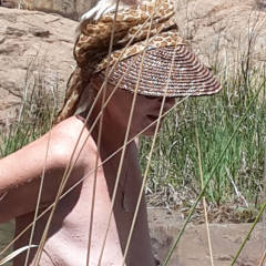 Pic #2 Waterfall 2 - Nature