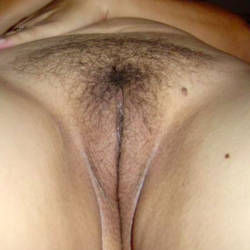Pic #4 Margarita  - Bush Or Hairy