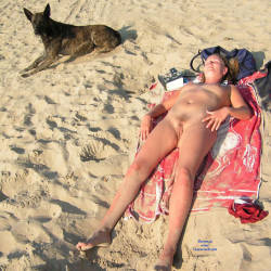 Pic #7 Longfield Beach - Beach, Bush Or Hairy