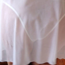 Pic #1Transparencia - See Through