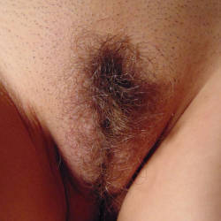 Pic #3 For Bush Lovers Only Part Two - Bush Or Hairy