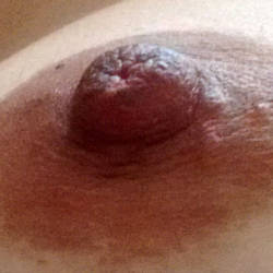 Pic #9 At Motel - Bush Or Hairy