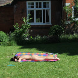 Pic #4 In The Shared Garden