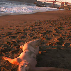 Pic #1 Sunset At Baker - Beach, Brunette