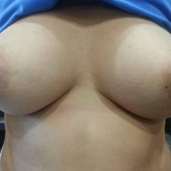 Medium tits of my wife - mysexywifey
