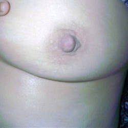 Pic #1 Spread - Bush Or Hairy