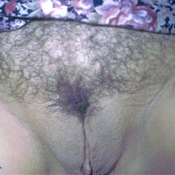 Pic #4 Spread - Bush Or Hairy