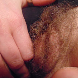 Pic #1 Just For Bush Lovers - Bush Or Hairy