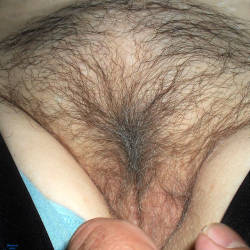 Pic #4  Seems   - Bush Or Hairy