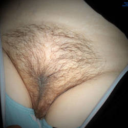 Pic #5  Seems   - Bush Or Hairy