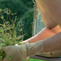 Pic #5 Gardening