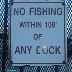 Pic #3 At the Falls - Outdoors, Voyeur