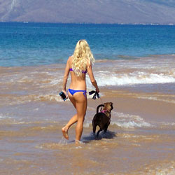 Pic #2 Walking The Dog - Brunette, Outdoors, Bikini Voyeur, Beach Voyeur