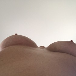 Medium tits of my wife - Ripley