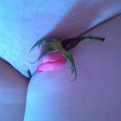 My wife's ass - Vasilisa