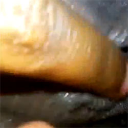 Getting Wet By Phone Sex - Masturbation, Close-Ups
