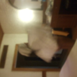 My ex-girlfriend's ass - Yupawadee